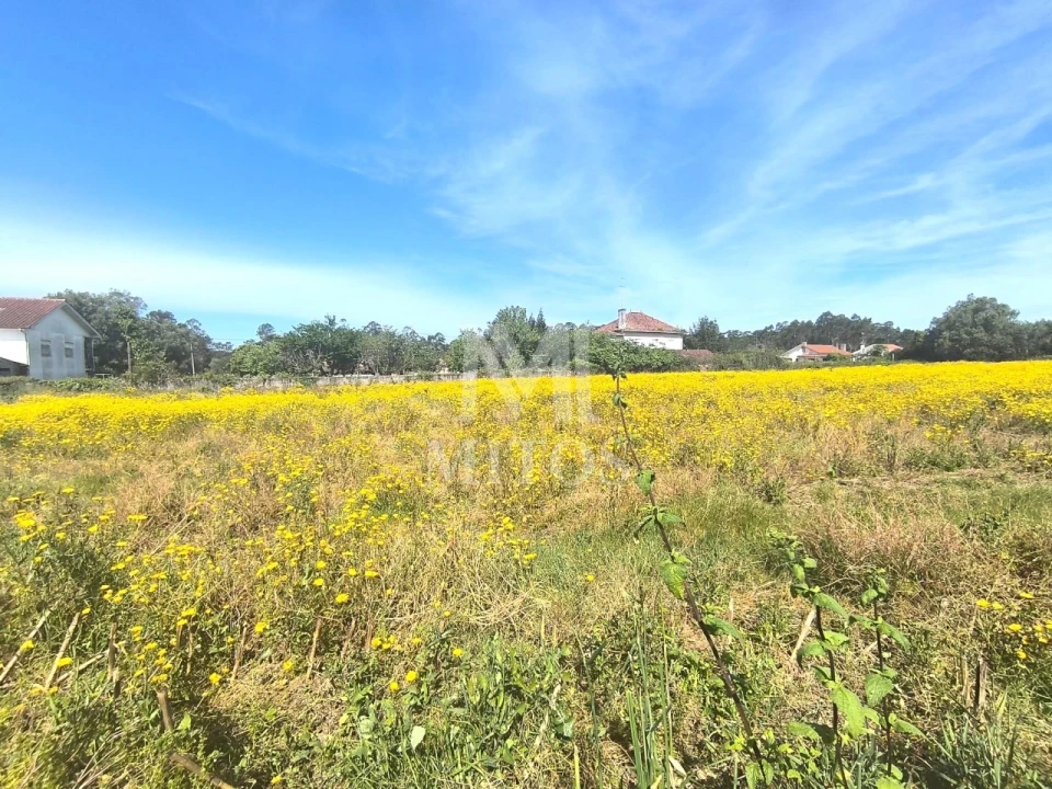 Terreno para Venda em Mazarefes e Vila Fria Foto 4