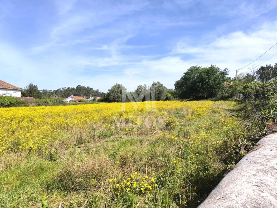Terreno para Venda em Mazarefes e Vila Fria Foto 2