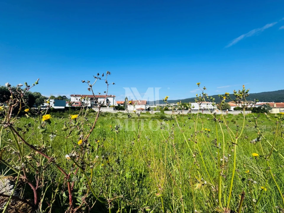 Terreno para Venda em Santa Marta de Portuzelo Foto 5