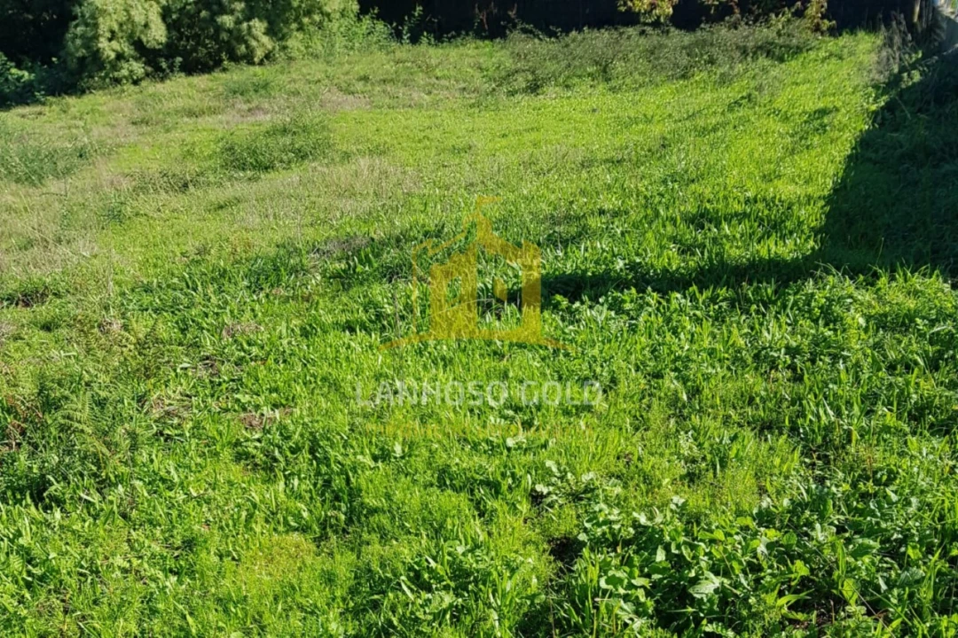 Terreno para Venda em Sobradelo da Goma Foto 3