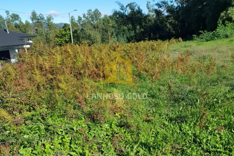 Terreno para Venda em Sobradelo da Goma Foto 4