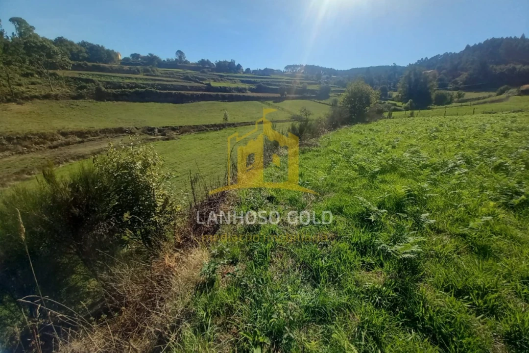 Terreno para Venda em Cunha Foto 12