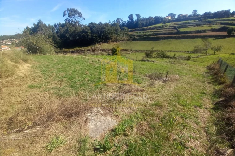Terreno para Venda em Cunha Foto 7