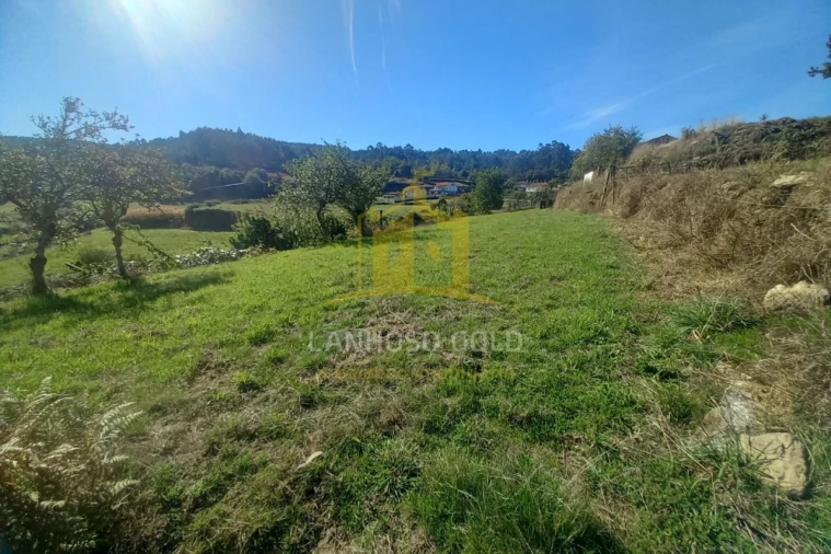 Terreno para Venda em Cunha Foto 9