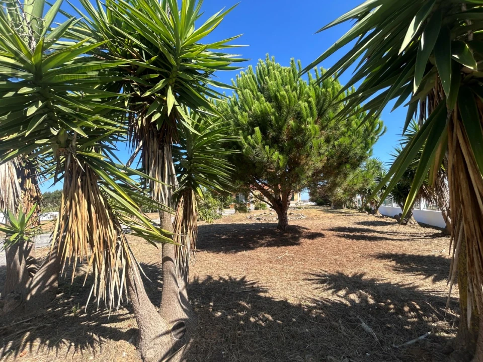 Moradia T3 para Venda em A dos Cunhados e Maceira Foto 22