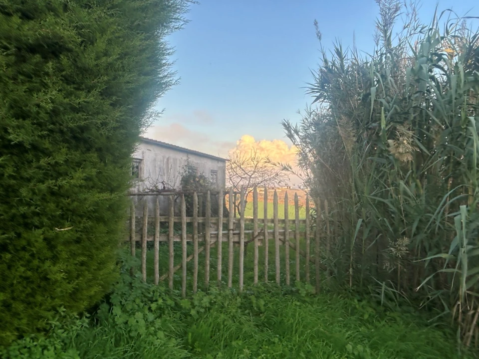 Terreno Comércio / Armazém para Venda em A dos Cunhados e Maceira Foto 17