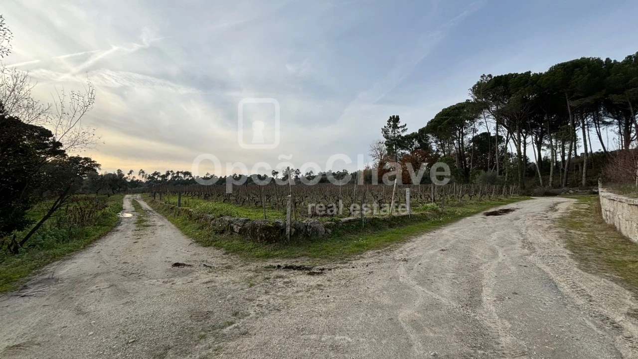 Quinta para Venda em Silgueiros Foto 4