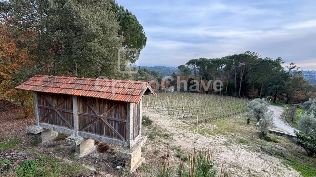 Quinta para Venda em Silgueiros Foto 5