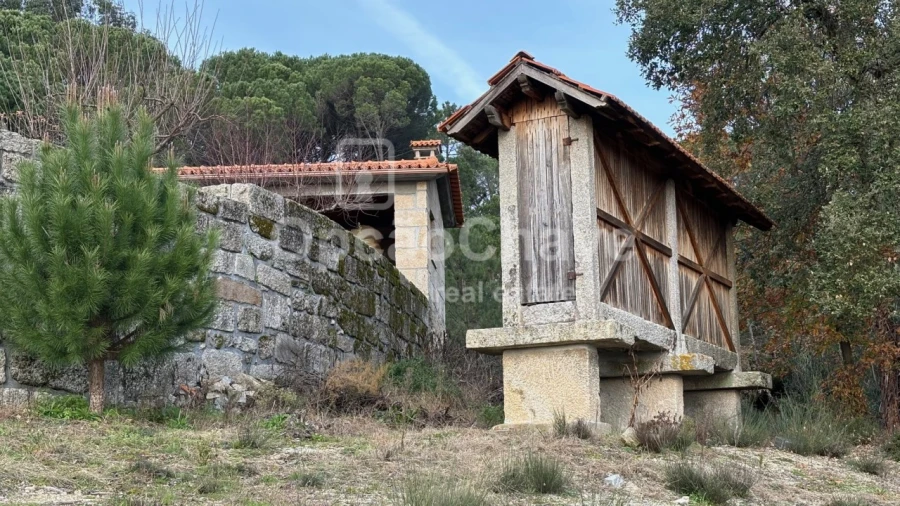 Quinta para Venda em Silgueiros Foto 3