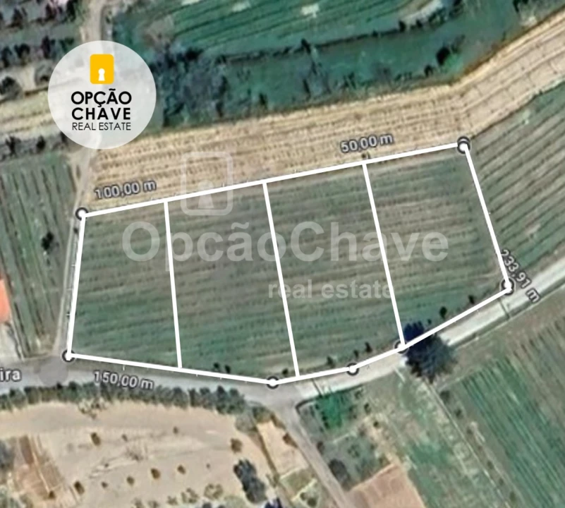 Terreno para Venda em Silgueiros Foto 2