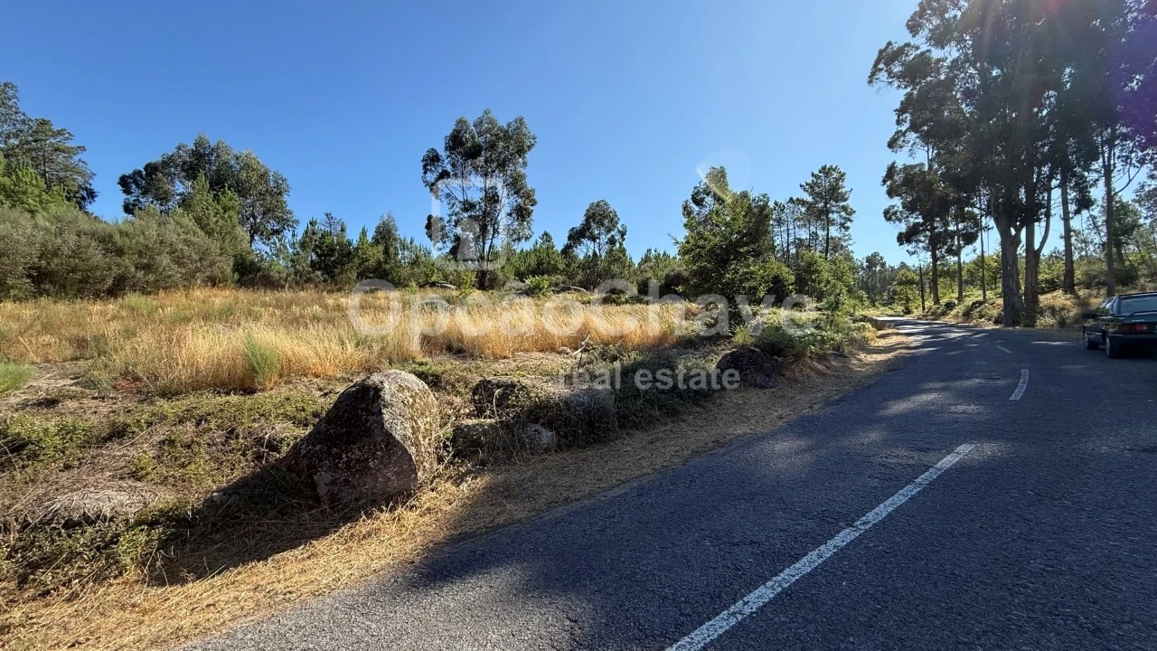 Terreno para Venda em Cavernães Foto 4