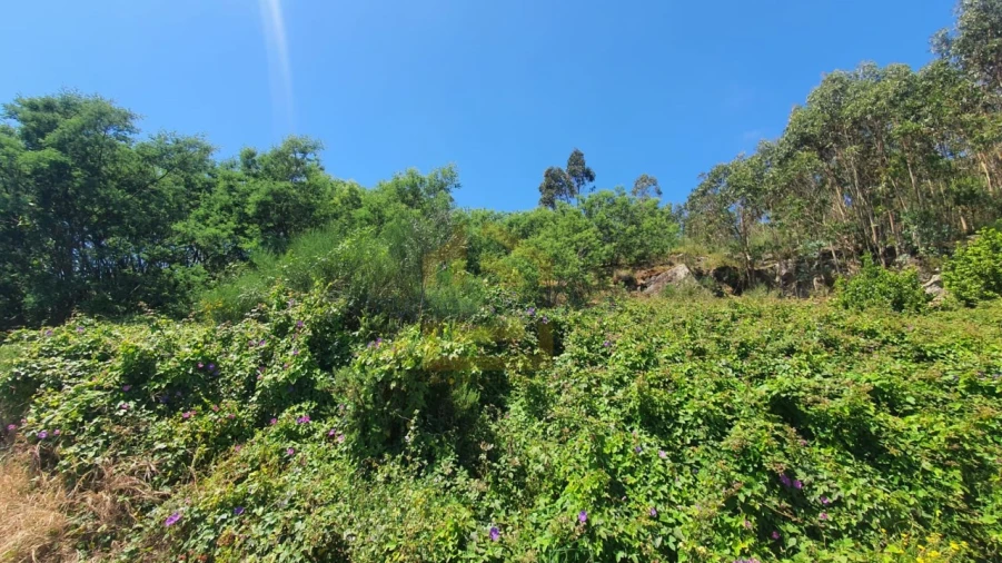 Terreno para Venda em Aver-O-Mar, Amorim e Terroso Foto 4