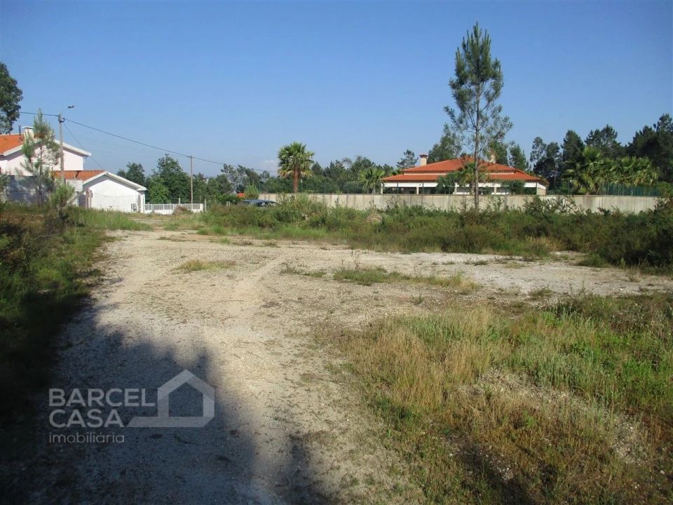 Terreno para Venda em Ucha Foto 5