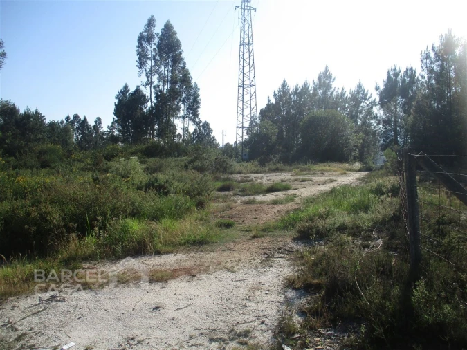 Terreno para Venda em Ucha Foto 3