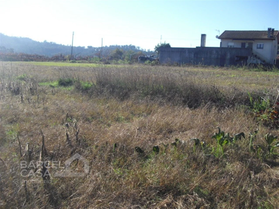 Terreno para Venda em Tamel (Santa Leocádia) e Vilar do Monte Foto 4