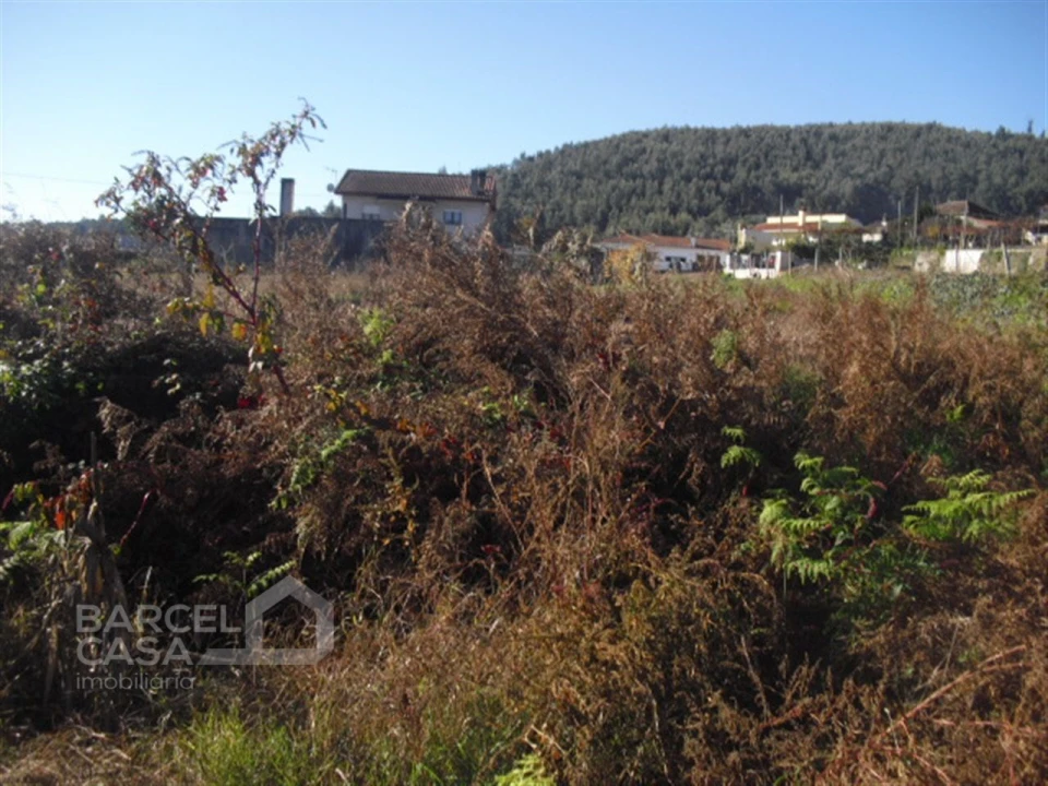 Terreno para Venda em Tamel (Santa Leocádia) e Vilar do Monte Foto 7