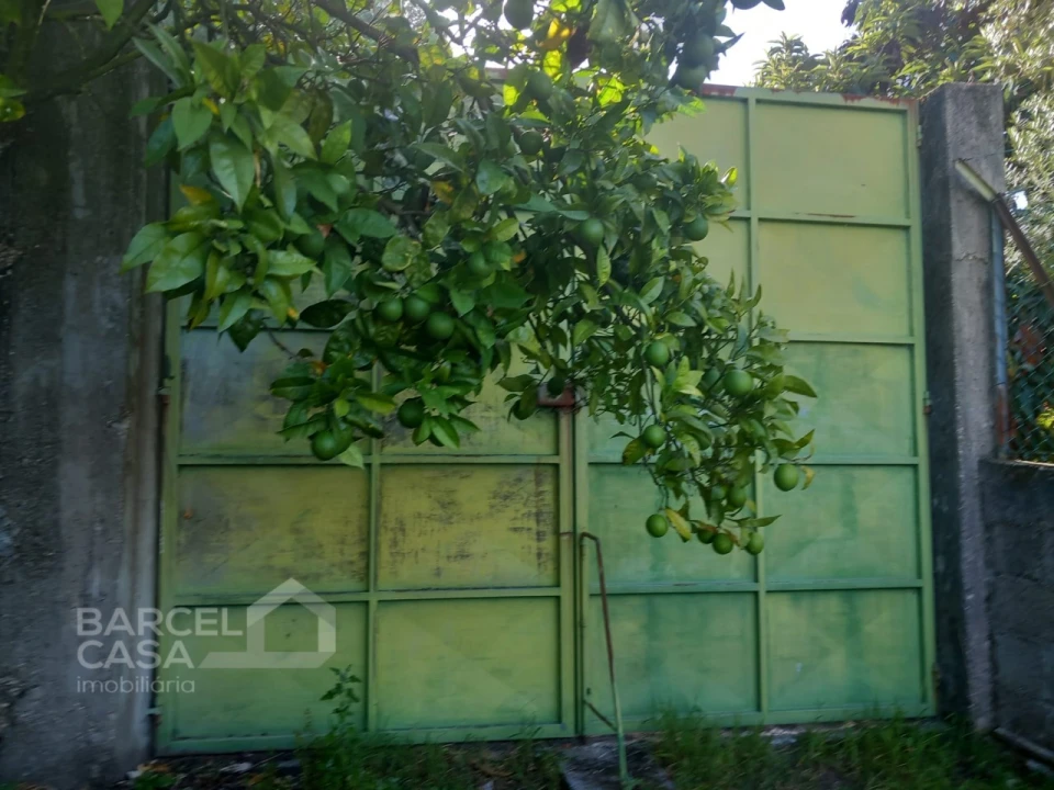 Quinta T4 para Venda em Palmeira de Faro e Curvos Foto 56