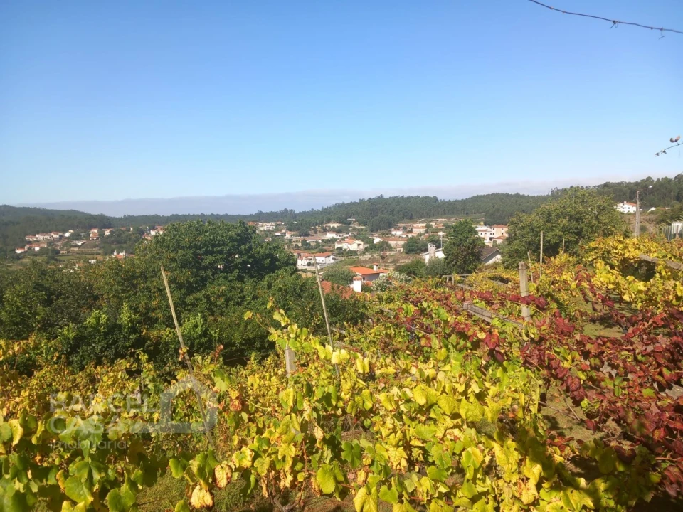 Quinta T4 para Venda em Palmeira de Faro e Curvos Foto 66