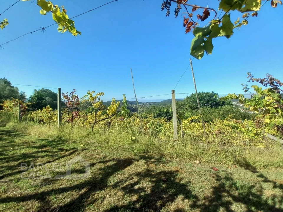 Quinta T4 para Venda em Palmeira de Faro e Curvos Foto 68