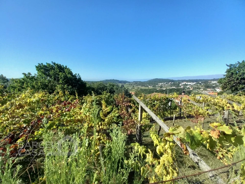 Quinta T4 para Venda em Palmeira de Faro e Curvos Foto 67
