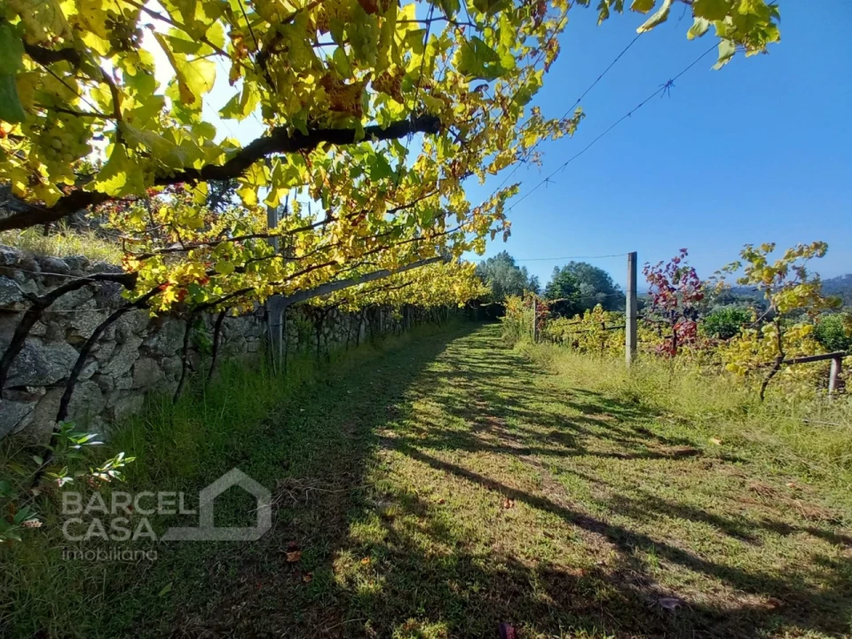 Quinta T4 para Venda em Palmeira de Faro e Curvos Foto 63