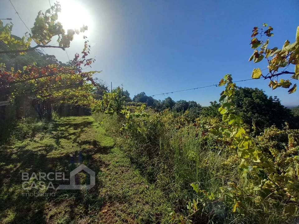 Quinta T4 para Venda em Palmeira de Faro e Curvos Foto 61