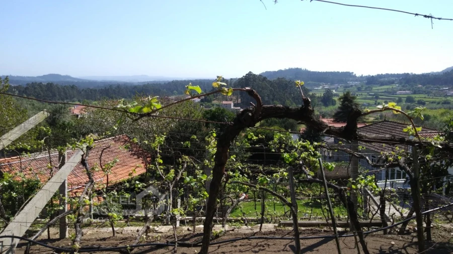 Quinta T4 para Venda em Palmeira de Faro e Curvos Foto 16