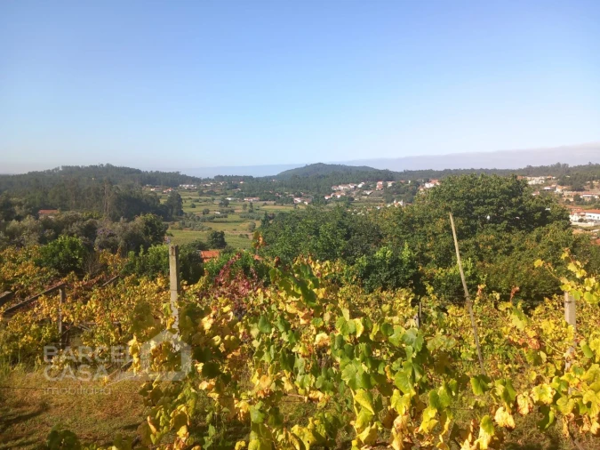 Quinta T4 para Venda em Palmeira de Faro e Curvos Foto 65