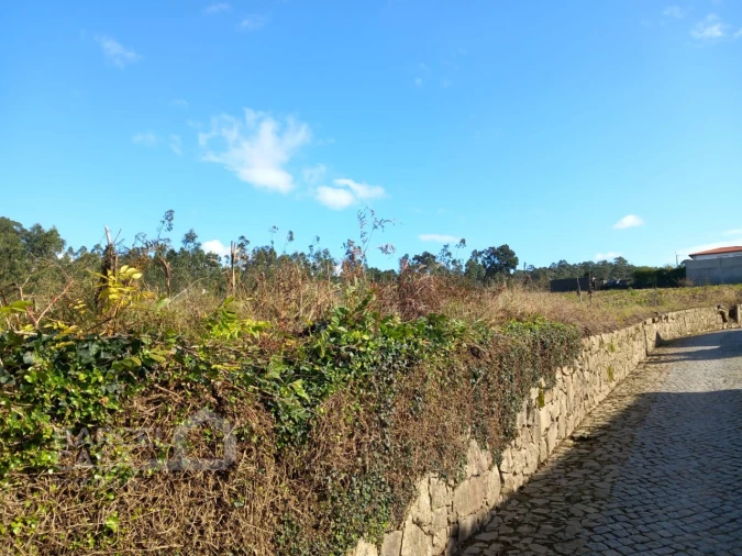 Terreno para Venda em Chorente, Góios, Courel, Pedra Furada e Gueral Foto 5