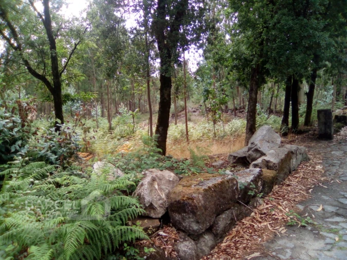 Terreno para Venda em Remelhe Foto 5