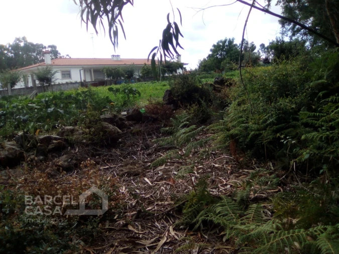 Terreno para Venda em Remelhe Foto 8