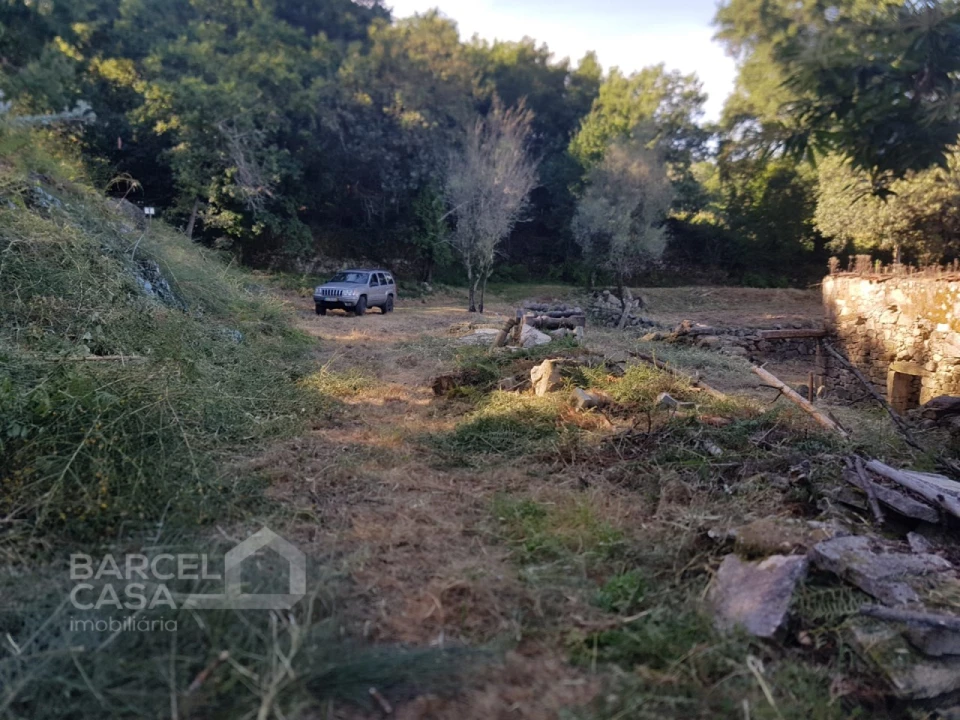 Terreno para Venda em Navió e Vitorino dos Piães Foto 6