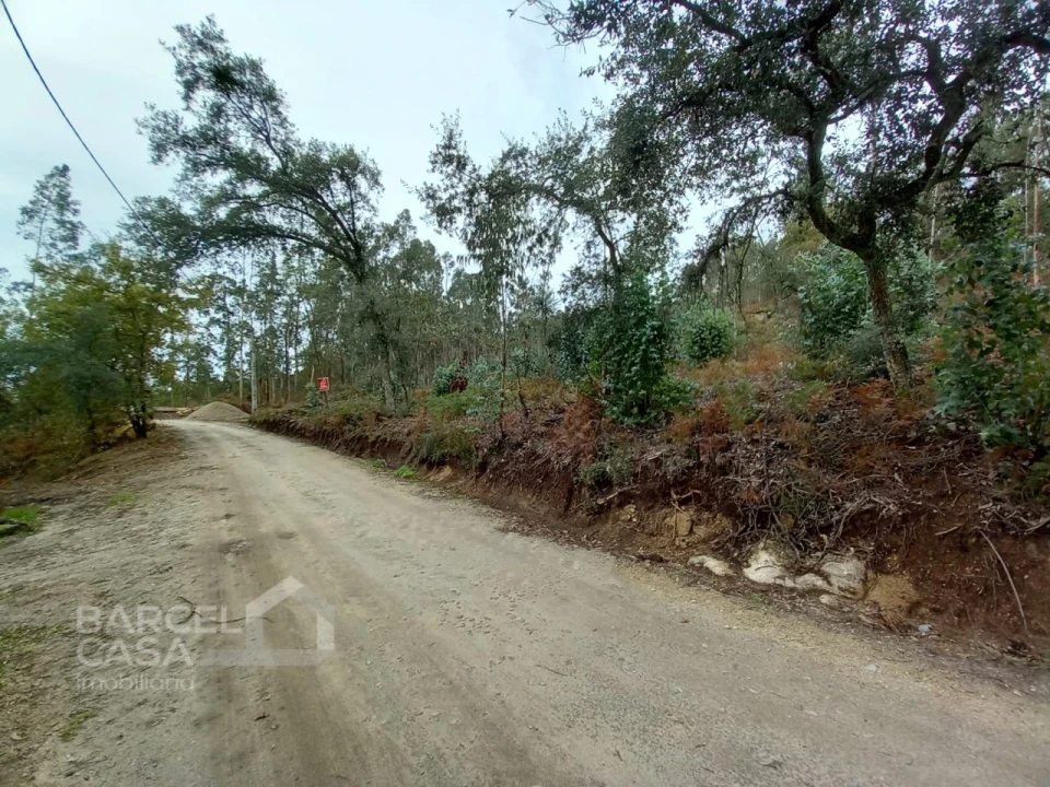 Terreno Agricola ou Rústico para Venda em Perelhal Foto 1