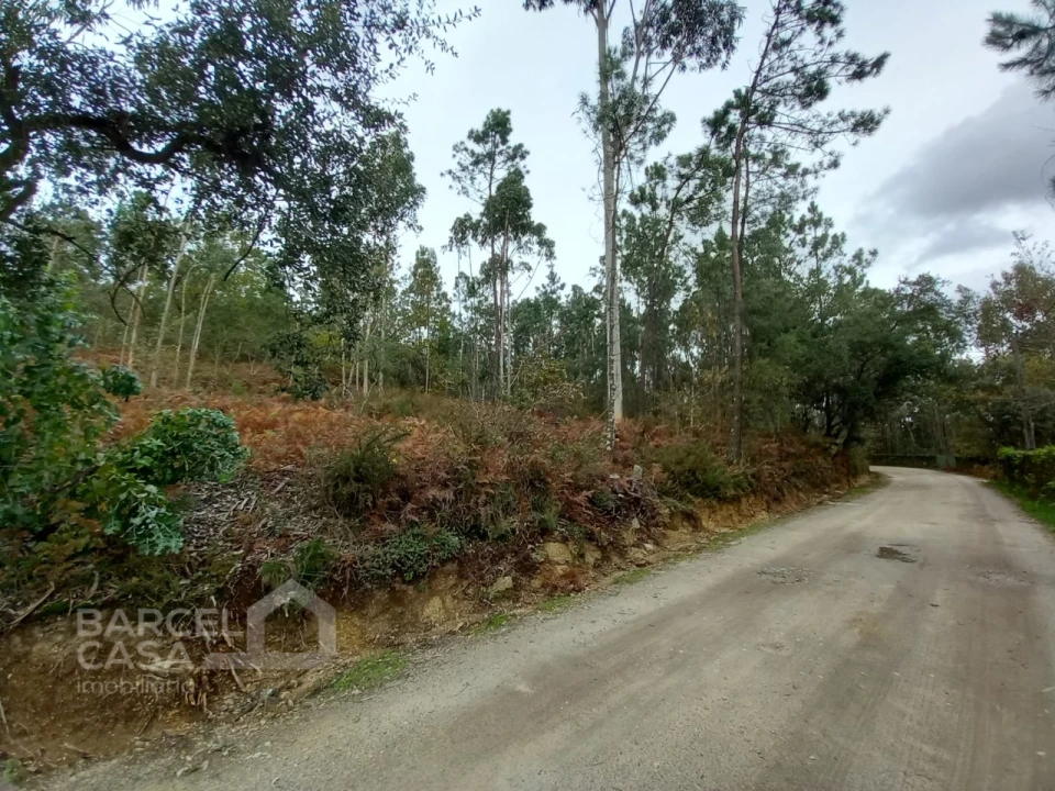 Terreno Agricola ou Rústico para Venda em Perelhal Foto 2