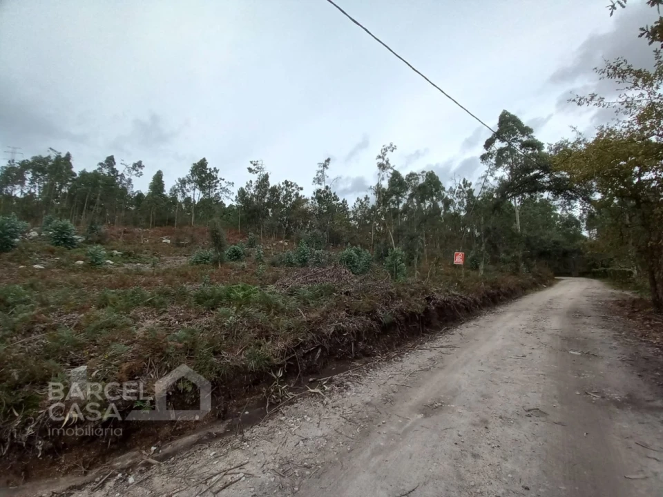 Terreno Agricola ou Rústico para Venda em Perelhal Foto 3