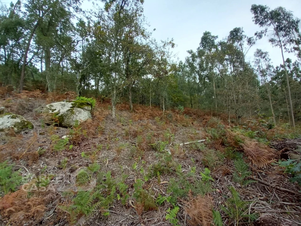 Terreno Agricola ou Rústico para Venda em Perelhal Foto 6