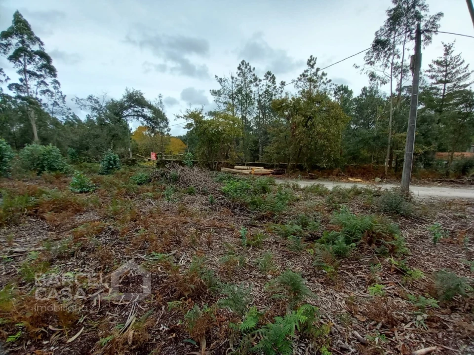 Terreno Agricola ou Rústico para Venda em Perelhal Foto 8