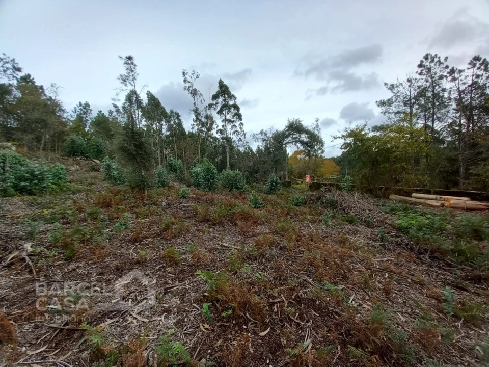 Terreno Agricola ou Rústico para Venda em Perelhal Foto 10