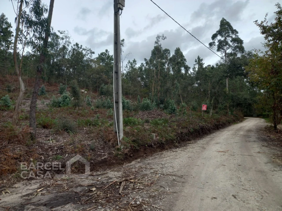 Terreno Agricola ou Rústico para Venda em Perelhal Foto 12