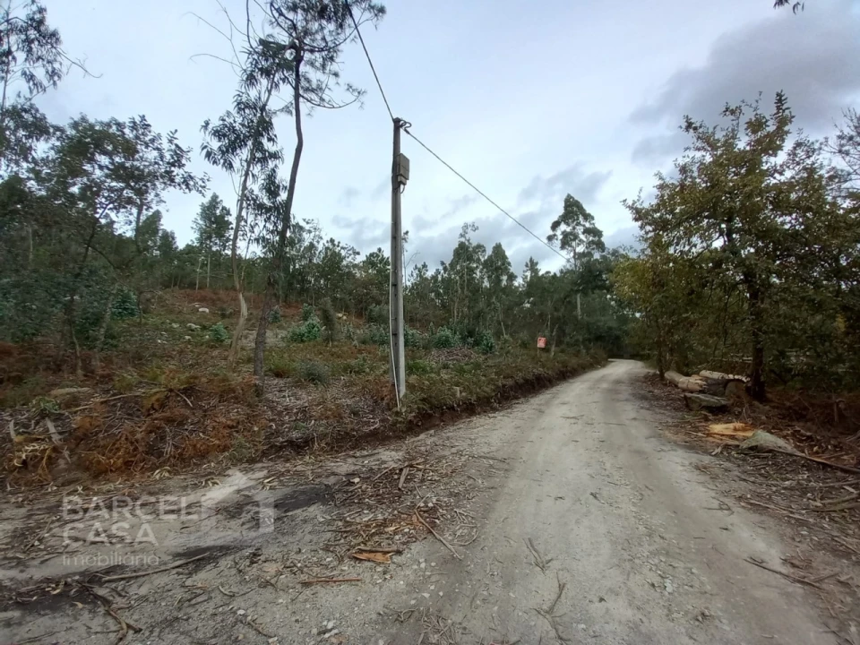 Terreno Agricola ou Rústico para Venda em Perelhal Foto 13