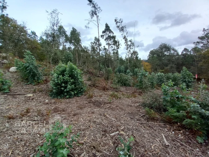 Terreno Agricola ou Rústico para Venda em Perelhal Foto 7