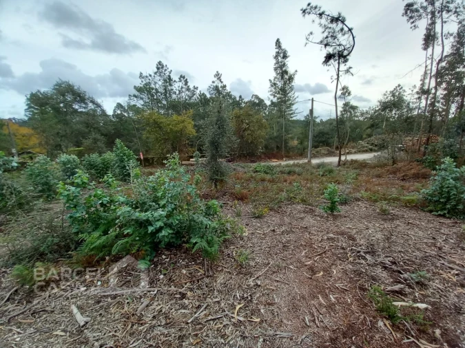 Terreno Agricola ou Rústico para Venda em Perelhal Foto 9