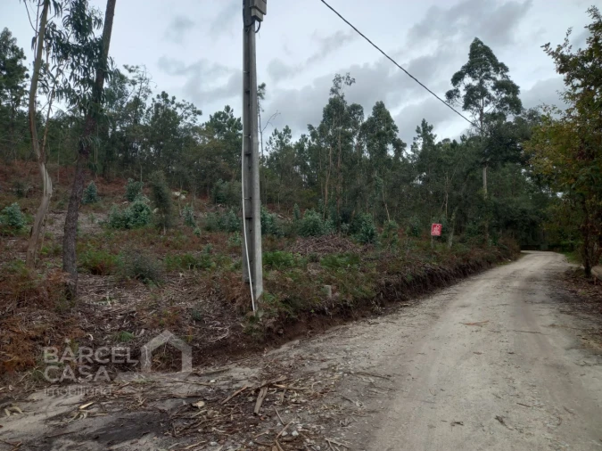 Terreno Agricola ou Rústico para Venda em Perelhal Foto 12