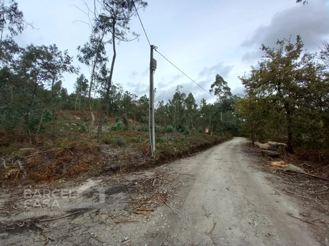 Terreno Agricola ou Rústico para Venda em Perelhal Foto 13