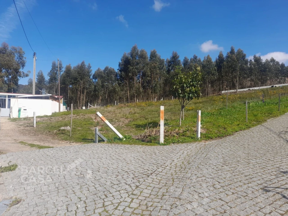 Terreno para Venda em Vila Cova e Feitos Foto 3