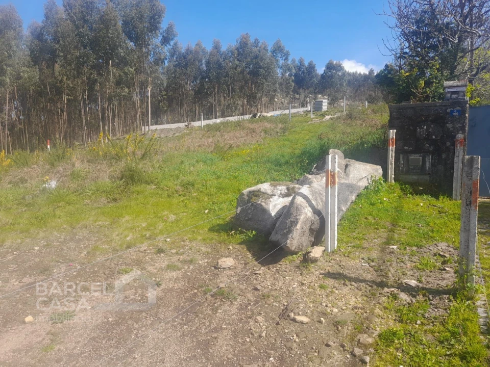 Terreno para Venda em Vila Cova e Feitos Foto 9