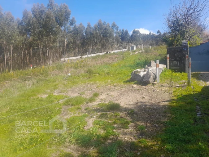 Terreno para Venda em Vila Cova e Feitos Foto 7