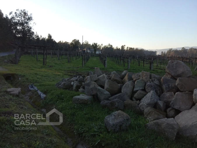 Terreno para Venda em Areias de Vilar e Encourados Foto 2