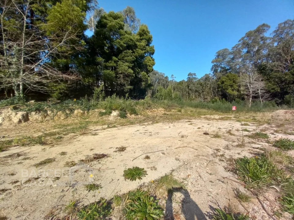 Terreno para Venda em Creixomil e Mariz Foto 13