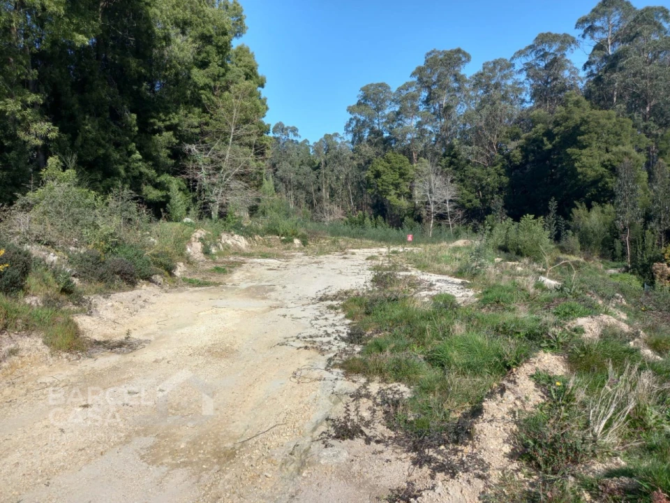 Terreno para Venda em Creixomil e Mariz Foto 4